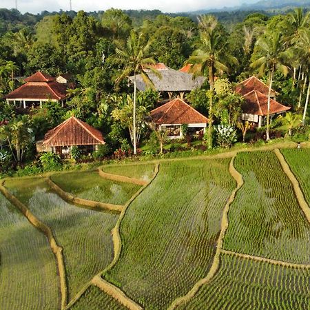 Sava Eco Retreat 호텔 Padangan  외부 사진