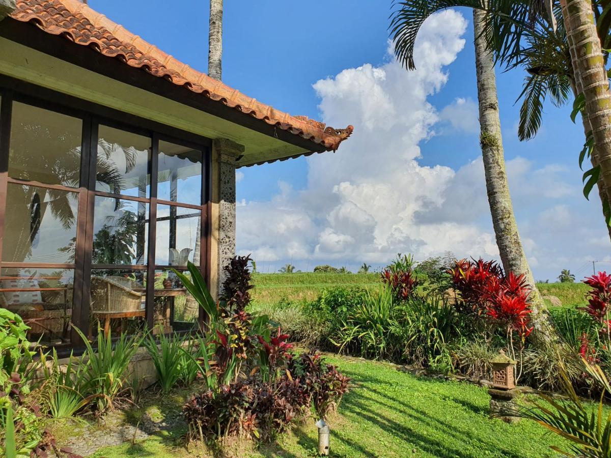 Sava Eco Retreat 호텔 Padangan  외부 사진