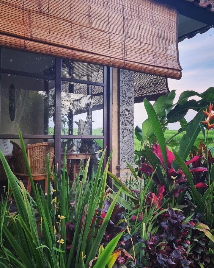 Sava Eco Retreat 호텔 Padangan  외부 사진