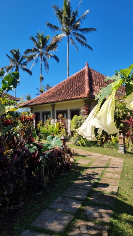 Sava Eco Retreat 호텔 Padangan  외부 사진