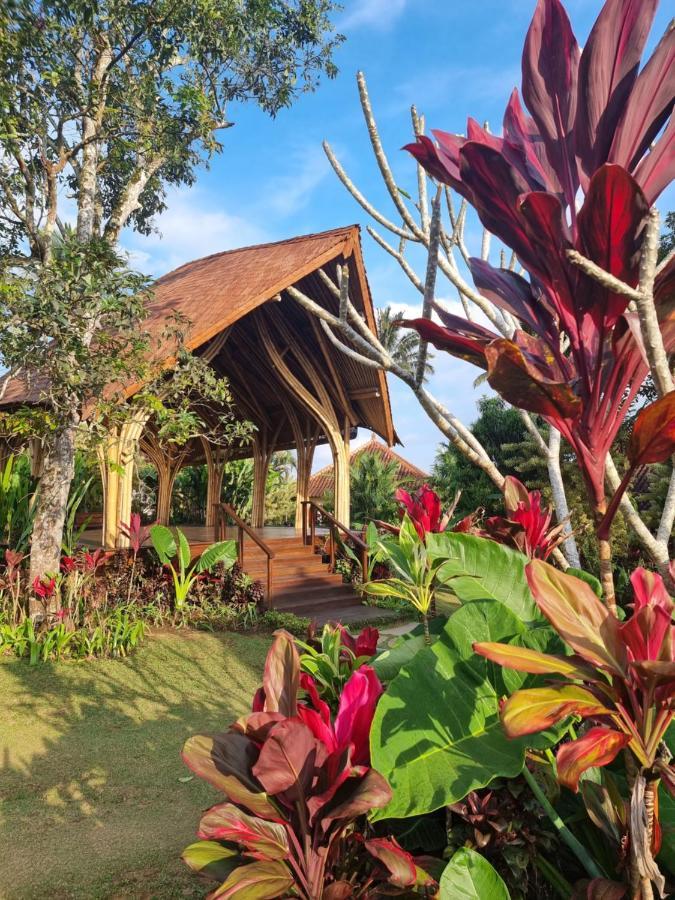 Sava Eco Retreat 호텔 Padangan  외부 사진